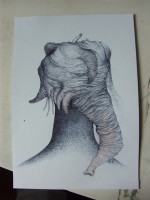 /album/fotogaleria2/pict0025-jpg/